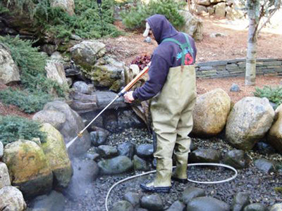 5 Things to Know When Spring Cleaning Your Watergarden Pond