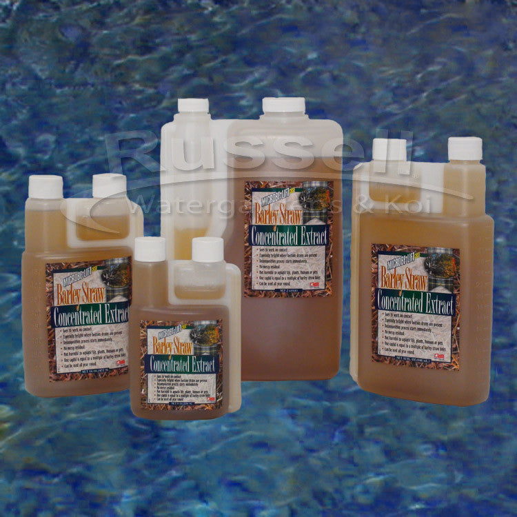 Barley straw extract