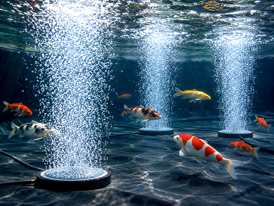 Aeration Kits for all sizes of ponds, fish holding tanks, and hydroponic systems