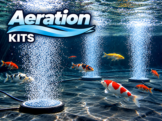 Pond aeration kit with air diffusers producing oxygen-rich bubbles for koi and pond fish.
