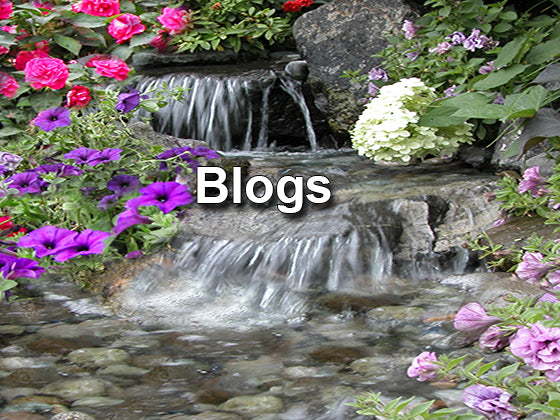 Blogs - Articles every pond and pondless waterfall owner should know