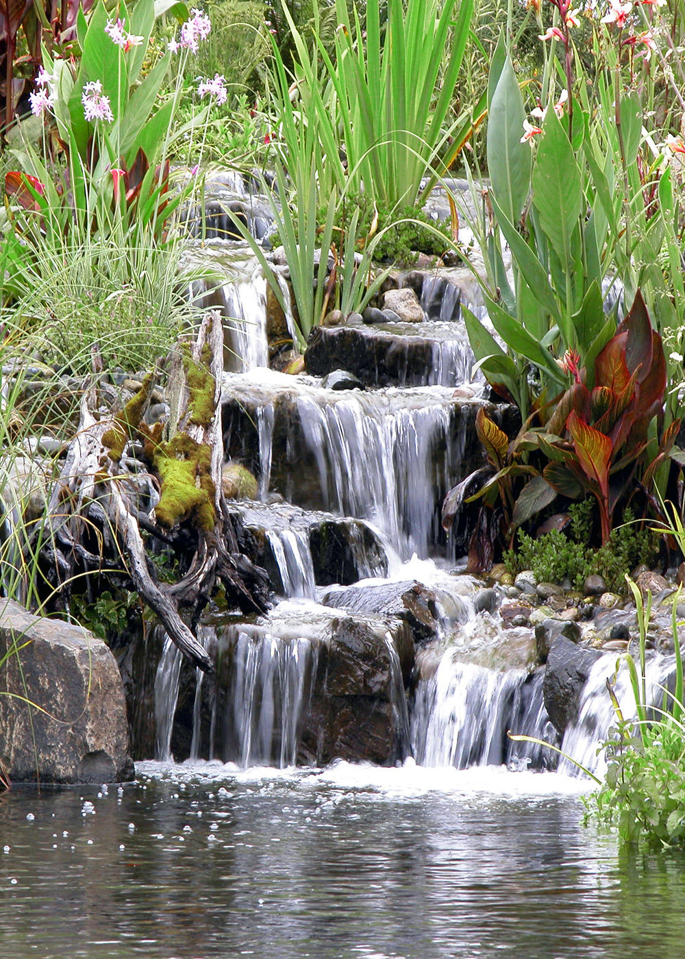 Beautiful multiped stepped waterfalls and aquatic plants by Russell Watergardens