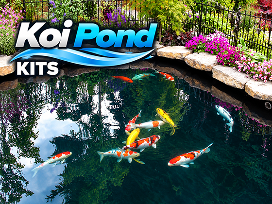 Koi Pond Kit with clear deep water, colorful koi and natural stone edging in a landscaped garden.