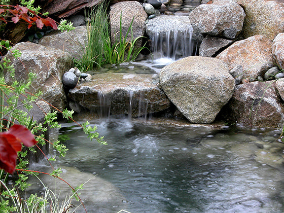Beautiful two step waterfalls cascading into a Hybrid Pond constructed by Russell Watergardens