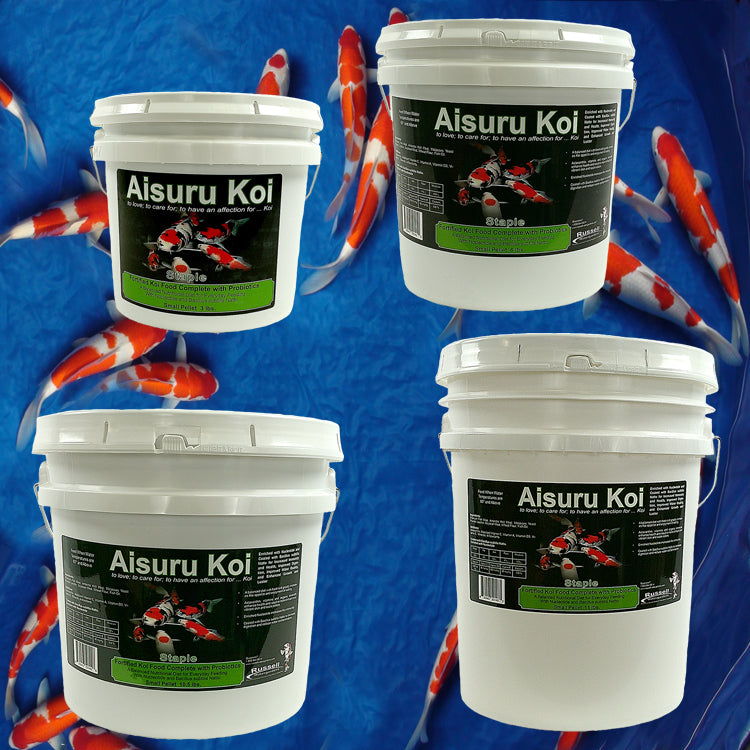4 Containers of Aisuru Koi™ Staple Koi Food Fortified With Probiotics with Koi fish in the background