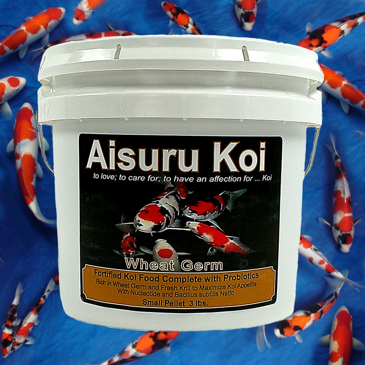 Aisuru Koi Wheat Germ 3 lbs. Small Pellet