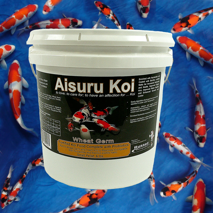 Aisuru Koi Wheat Germ 6 lbs. Small Pellet