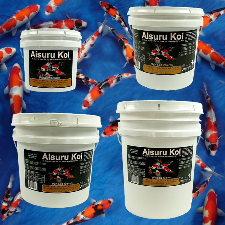 Aisuru Koi™ Wheat Germ Koi Food containers with Koi fish in the background