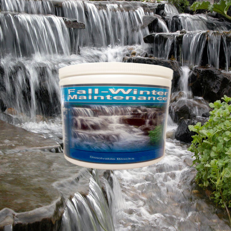 Cold Water Beneficial Bacteria ⅓ oz. Blocks - Fall Winter Maintenance