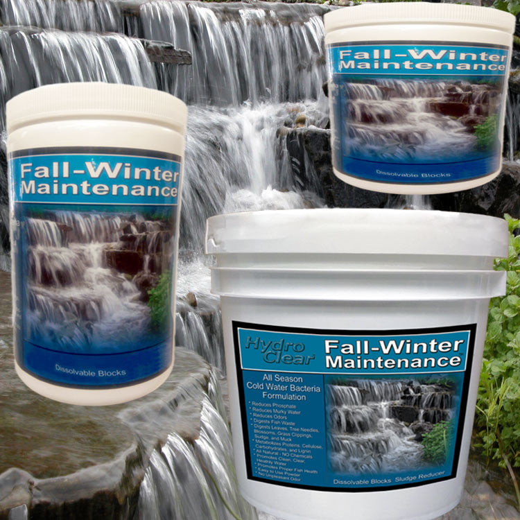 Fall-Winter Maintenance