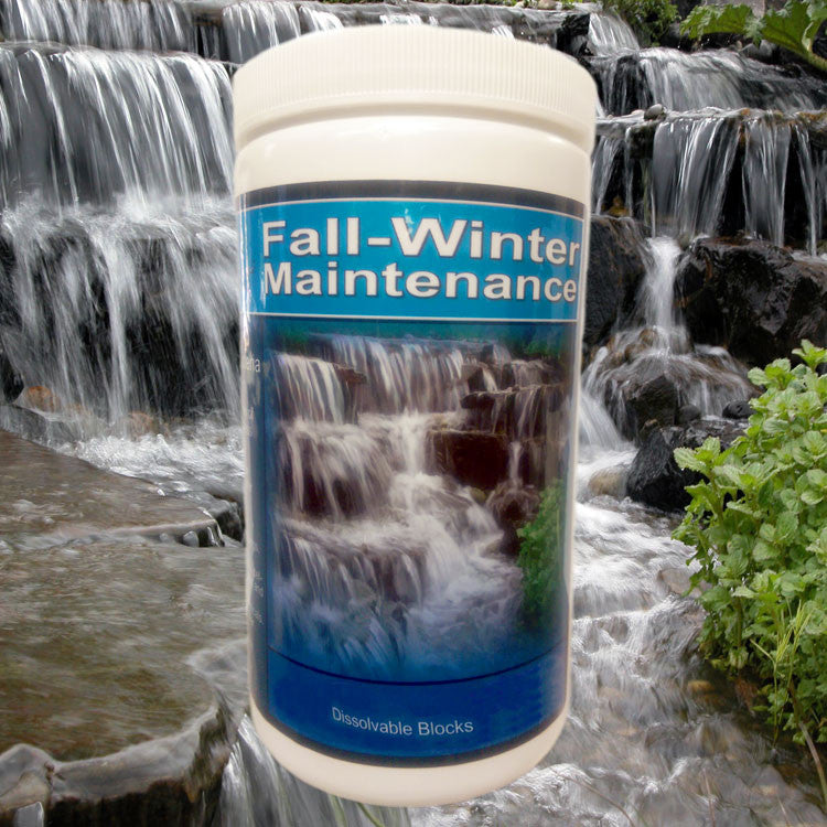 Cold Water Beneficial Bacteria ⅓ oz. Blocks - Fall Winter Maintenance
