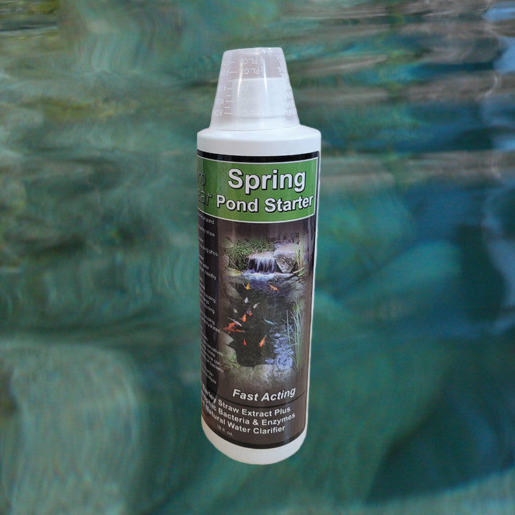 Spring Pond Starter Bacteria Plus Liquid Barley Extract