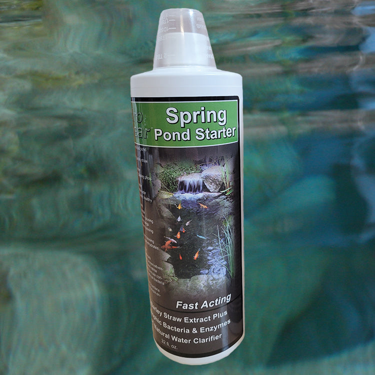 Spring Pond Starter Bacteria Plus Liquid Barley Extract