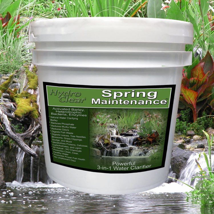 Granular Spring Maintenance Beneficial Pond Bacteria Plus Barley