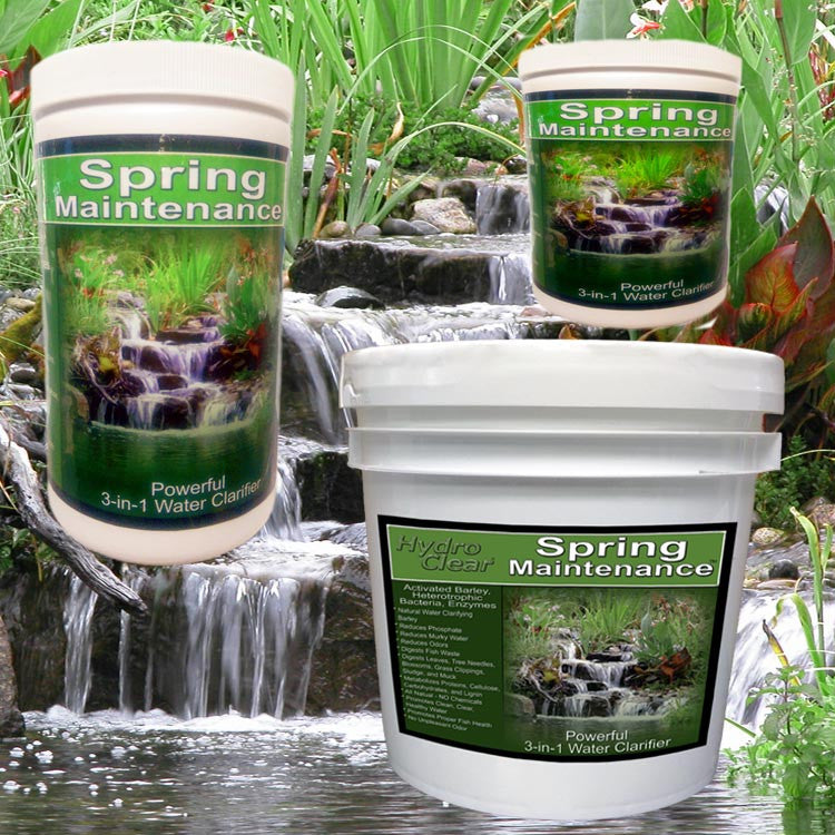 Spring Maintenance bacteria plus barley