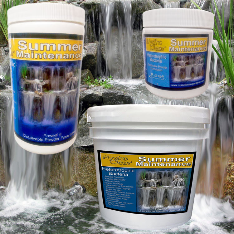 Granular Summer-Maintenance Heterotrophic Bacteria and Enzymes