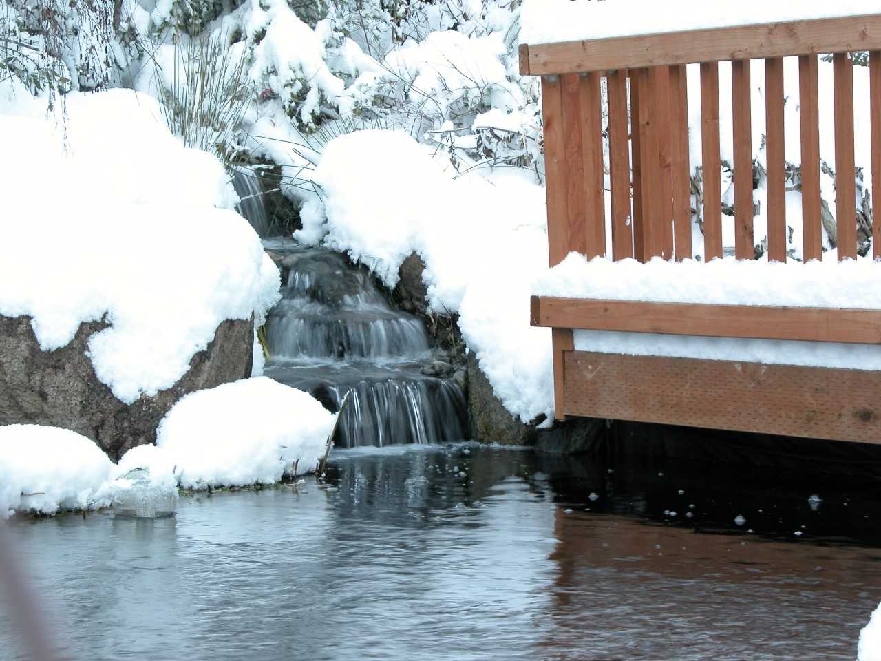10 Tips to Take Care of Your Pond in Winter