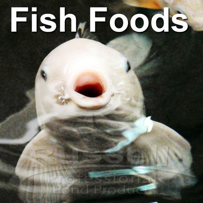 Koi fish foods and treats