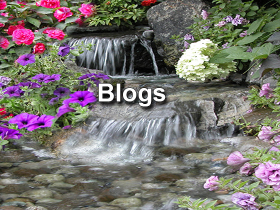 Blogs written by either John Russell, or Pamela Russell;  Founders of Russell Watergardens & Koi