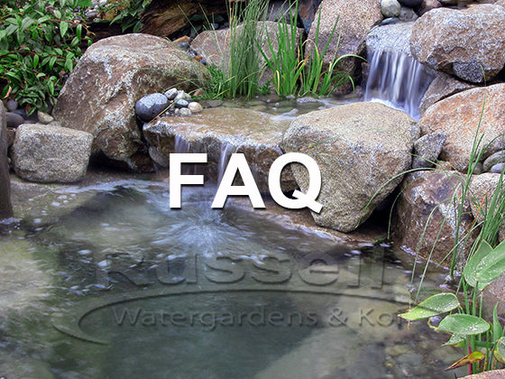 FAQ Frequently Asked Questions