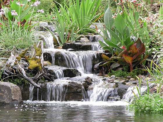 Double waterfalls with multiple cascading falls between large boulders and water plants in to a pond - built by Russell Watergardens