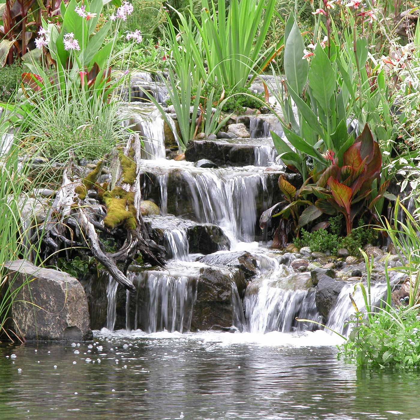 Large multi stepped waterfalls into a pond with blooming plants - built by Russell Watergardens using a custom pond kit