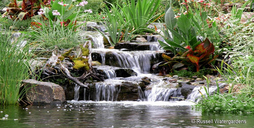 Beautiful waterfalls created using Hydro Vortex waterfall filters and a custom Ultimate Pond Kit exclusively from Russell Watergardens