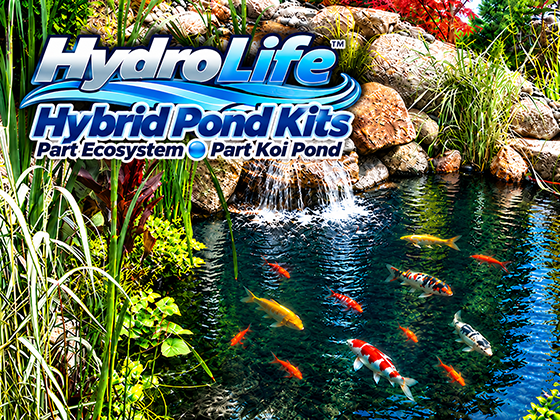 HydroLife™ Hybrid Pond Kits featuring a natural landscaped pond with waterfall, aquatic plants and koi.