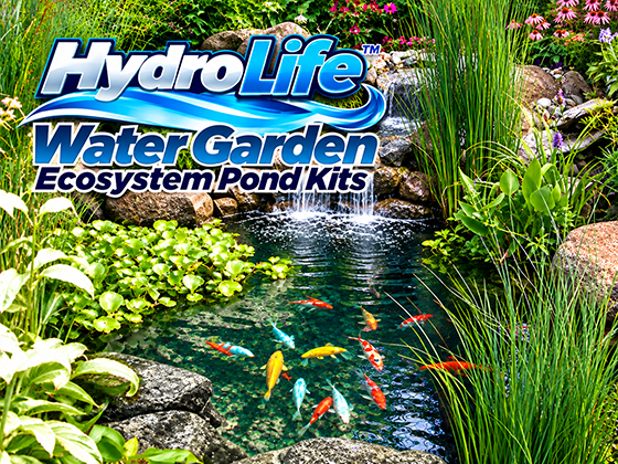 HydroLife™ Water Garden Ecosystem Pond Kit with a landscaped pond, waterfalls, aquatic plants and colorful fish.