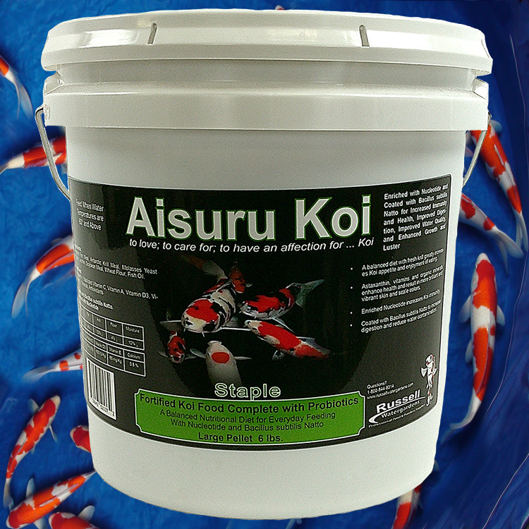Aisuru Koi Staple Koi Food Large Pellet 6 lb