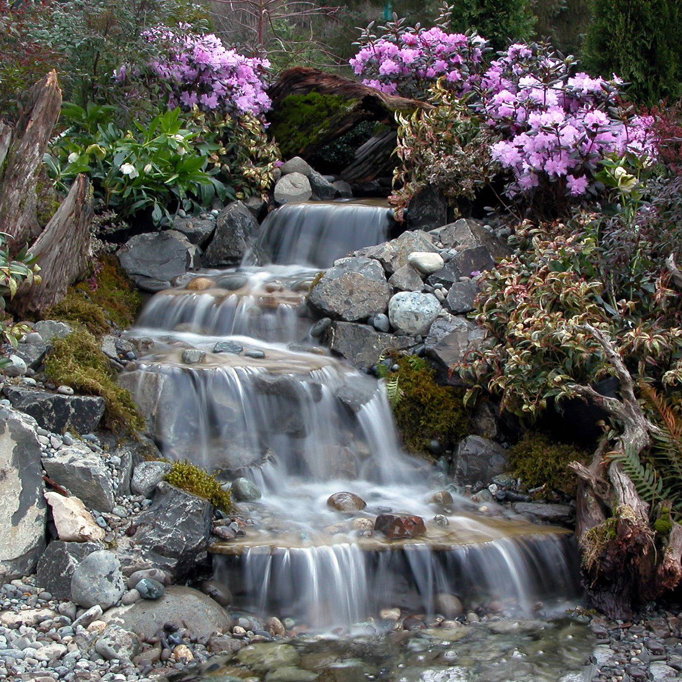 The Original Pondless Waterfall that started it all - a four tiered waterfall cascading down with pink bloom plants on the side