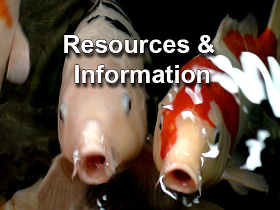 Resources and information for all pond and pondless waterfall owners