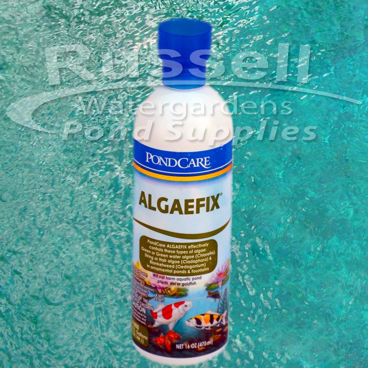 Algaefix Algae Control For All Types of Ponds and Pondless Waterfeatures