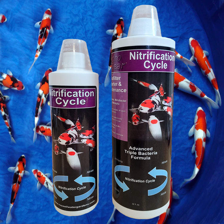 Liquid Nitrification Cycle™ Nitrifying Pond Bacteria Bio Filter Starter bottles with Koi fish in the background