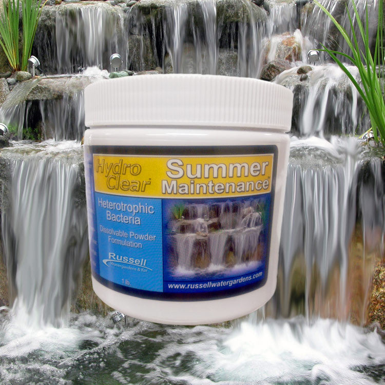 Granular Summer-Maintenance Heterotrophic Bacteria and Enzymes