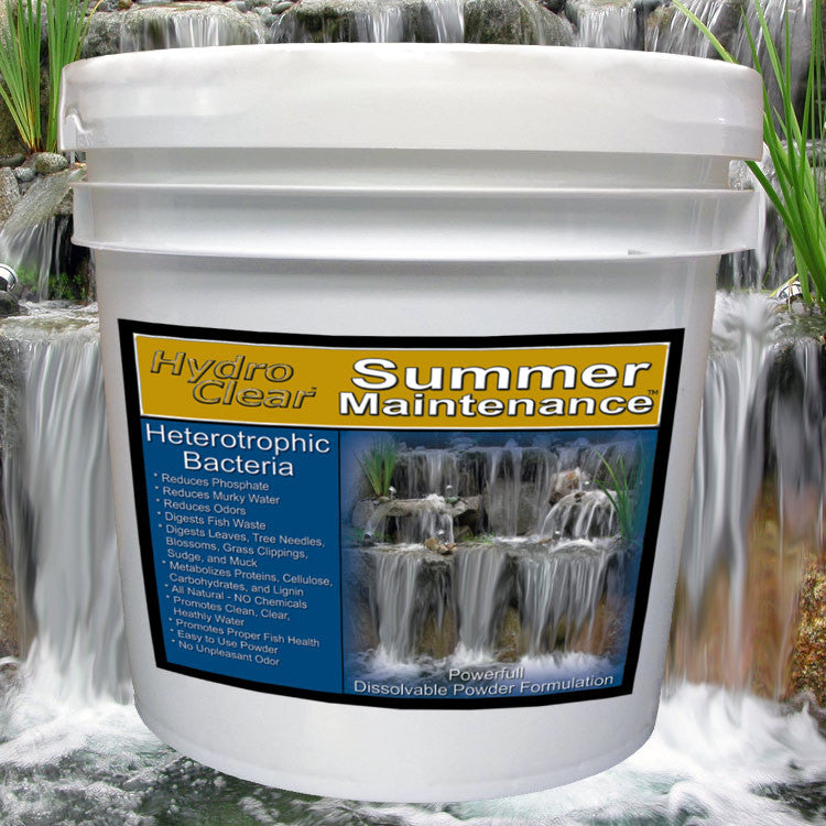 Granular Summer-Maintenance Heterotrophic Bacteria and Enzymes