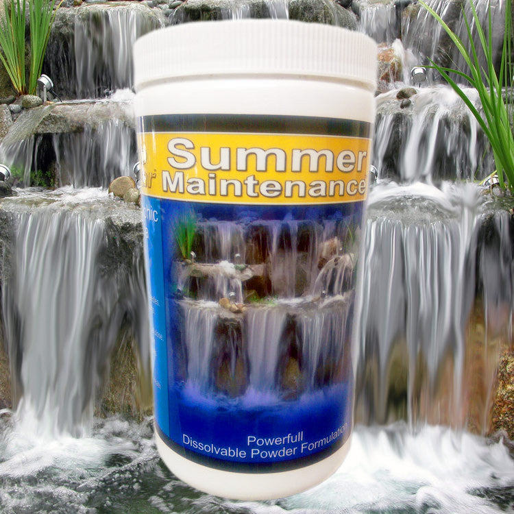 Granular Summer-Maintenance Heterotrophic Bacteria and Enzymes
